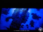 25th_C-E_2006