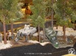 25th_2006_261