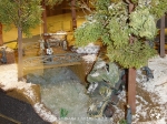 25th_2006_262
