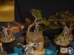 25th_2006_27