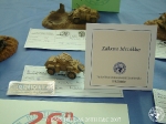 26th_2007_396
