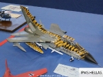 27th_2008_118