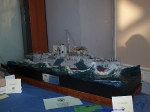 28th_2009_33