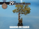 29th_2010_194