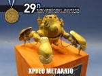 29th_2010_50