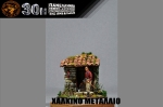 30th_2011_503