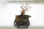 32nd_2014_187