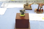 32nd_2014_466