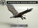 33rd_2014_137
