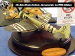 33rd_2014_519