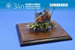 34th_2015_551