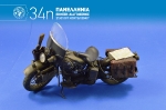 34th_2015_576